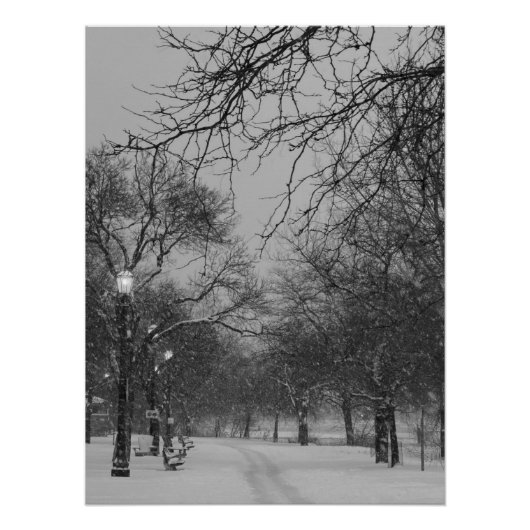 Winterpad Perfect Poster (Voorkant)