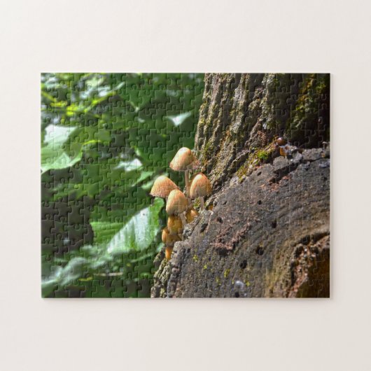 Winterpaddenstoelen Canada. Legpuzzel (Horizontaal)