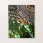 Winterpaddenstoelen Canada. Legpuzzel (Verticaal)