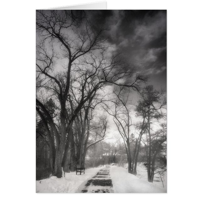 Winterpaden (Voorkant)