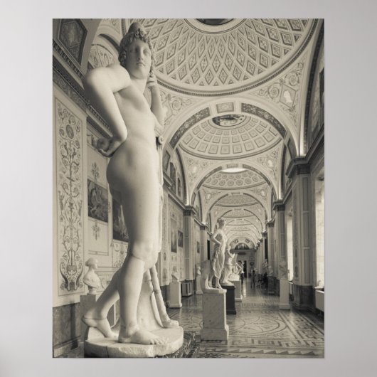 Winterpaleis en Hermitage Museum Poster (Voorkant)