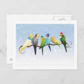 Winterparakeets en krokodillen briefkaart (Voorkant / Achterkant)