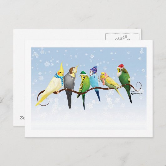 Winterparakeets en krokodillen briefkaart (Voorkant / Achterkant)
