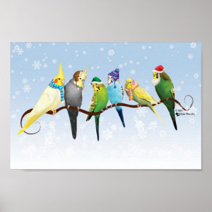 Winterparakeets en krokodillen poster