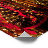 winterpark in florida poster (Hoek)