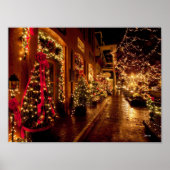 winterpark in florida poster (Voorkant)