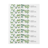 Winterpijnboombladeren (Vel)