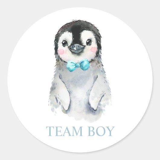 Winterpinguïn Team BOY Gender onthulling spellabel Ronde Sticker (Voorkant)