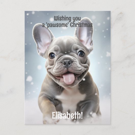  winterpoten van vreugde briefkaart (Voorkant)