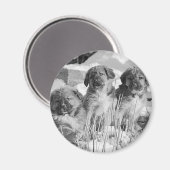 WinterPuppies Magneet (Voorkant / Achterkant)