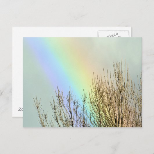 Winterregenboog Briefkaart (Voorkant / Achterkant)