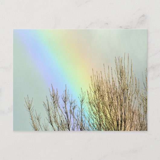 Winterregenboog Briefkaart (Voorkant)