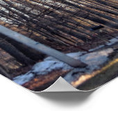 Winterrijen Poster met bomen (Hoek)
