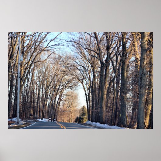 Winterrijen Poster met bomen (Voorkant)