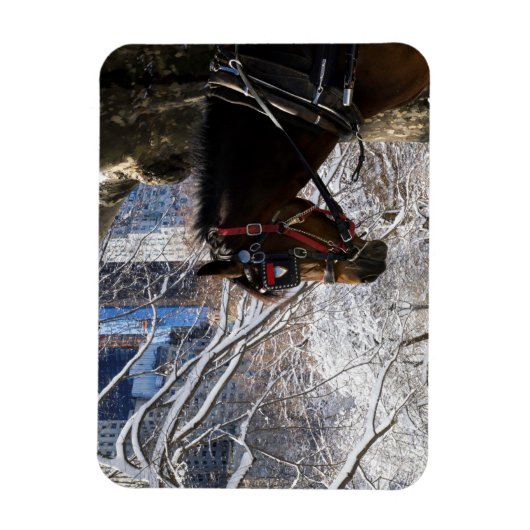 winterrijpaard magneet (Verticaal)