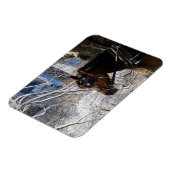 winterrijpaard magneet (Linkerzijde)