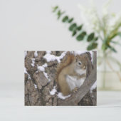 Winterrode eekhoorn briefkaart (Staand voorkant)