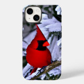 Winterrode kardinaal Case-Mate iPhone case (Achterkant)