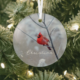 Winterrode kardinaal in sneeuw glas ornament