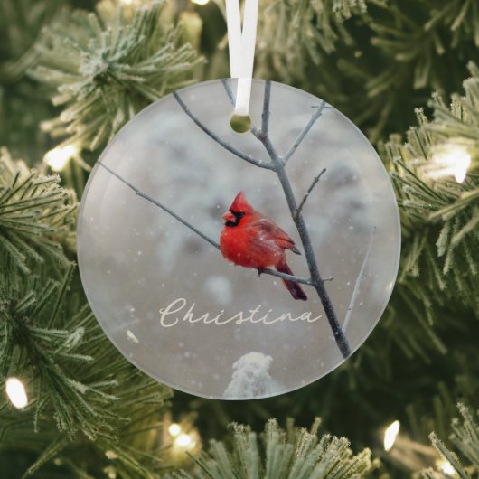 Winterrode kardinaal in sneeuw glas ornament (Insitu)