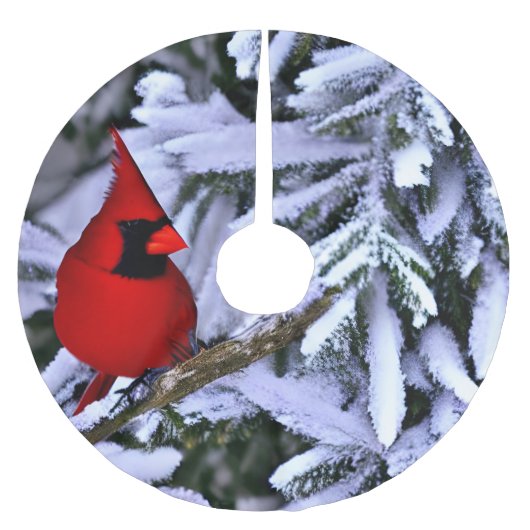 Winterrode kardinaal kerstboom rok (Voorkant)