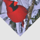 Winterrode kardinaal tissuepapier (Detail)