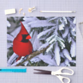 Winterrode kardinaal tissuepapier (Craft)
