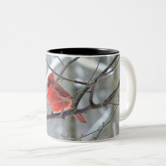 Winterrode kardinale Mok (Voorkant rechts)