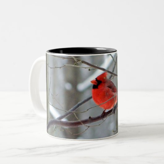 Winterrode kardinale Mok (Voorkant links)