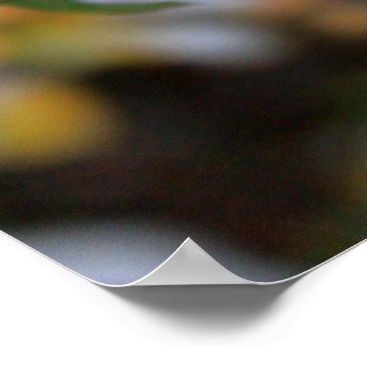 WinterRoos Poster (Hoek)