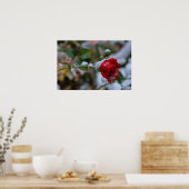 WinterRoos Poster (Keuken)