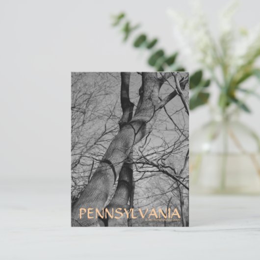 Winters Bite over het Briefkaart van Trees Bark Pe (Staand voorkant)