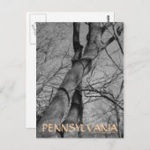 Winters Bite over het Briefkaart van Trees Bark Pe (Voorkant / Achterkant)