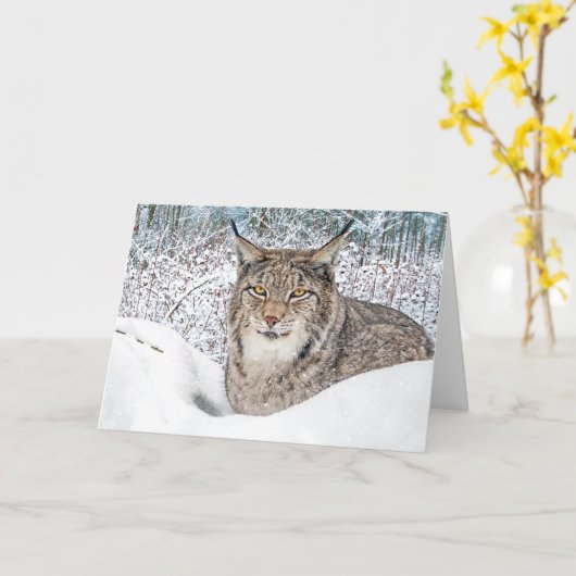 "Winter's Child" Groet Kaart (Gele Bloem)