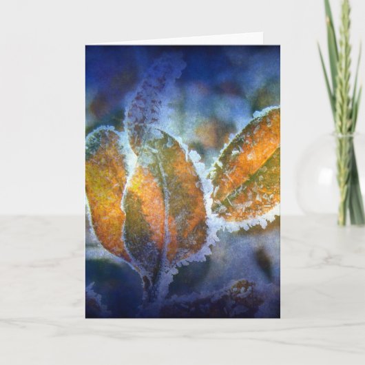 Winter's Chill bij alle gelegenheden Kaart (Voorkant)