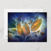 Winter's Chill Briefkaart (Voorkant / Achterkant)