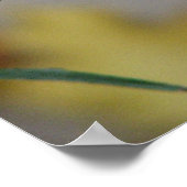 Winter's Chill Poster (Hoek)