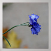 Winter's Chill Poster (Voorkant)