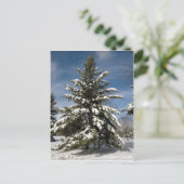 Winters Coming Briefkaart (Staand voorkant)