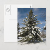 Winters Coming Briefkaart (Voorkant / Achterkant)