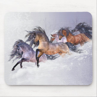 Winter's Flight Mousepad Muismat