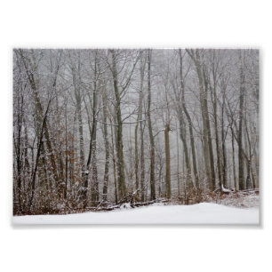 Winters Fog 7x5 Fotografische afdrukken Foto Afdruk