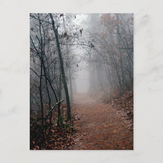 Winters Fog - Geen eind in de nacht op de spoelcad Briefkaart (Voorkant)