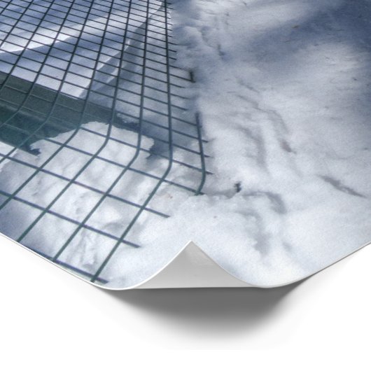 Winter's Frozen Beauty Path naar Johnson Creek Upp Poster (Hoek)