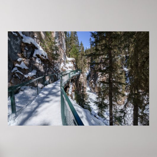 Winter's Frozen Beauty Path naar Johnson Creek Upp Poster (Voorkant)
