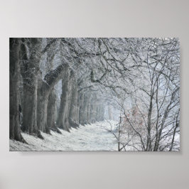 Winters Morning Poster