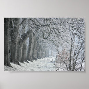 Winters Morning Poster