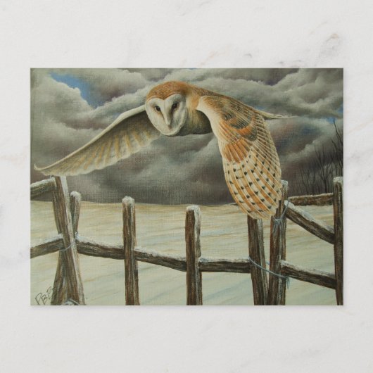 Winter's Owl Briefkaart (Voorkant)