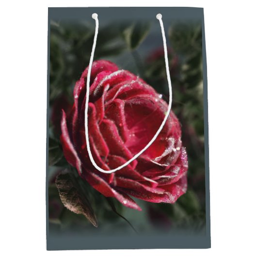 Winter's Parting Gift Bag Medium Cadeauzakje (Voorkant)