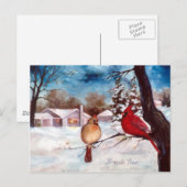 Winters Serenity Cardinaal Briefkaart (Voorkant / Achterkant)